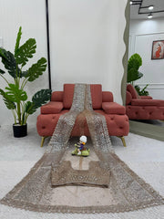 Outstanding Soft Net Beige Color Sequence Work Saree